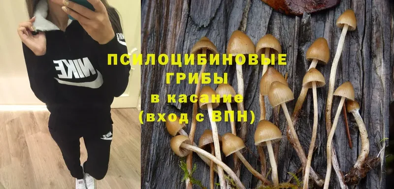 Галлюциногенные грибы MAGIC MUSHROOMS  это состав  Воткинск 